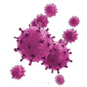 png-virus